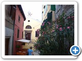 Rovinj Stare Miasto12